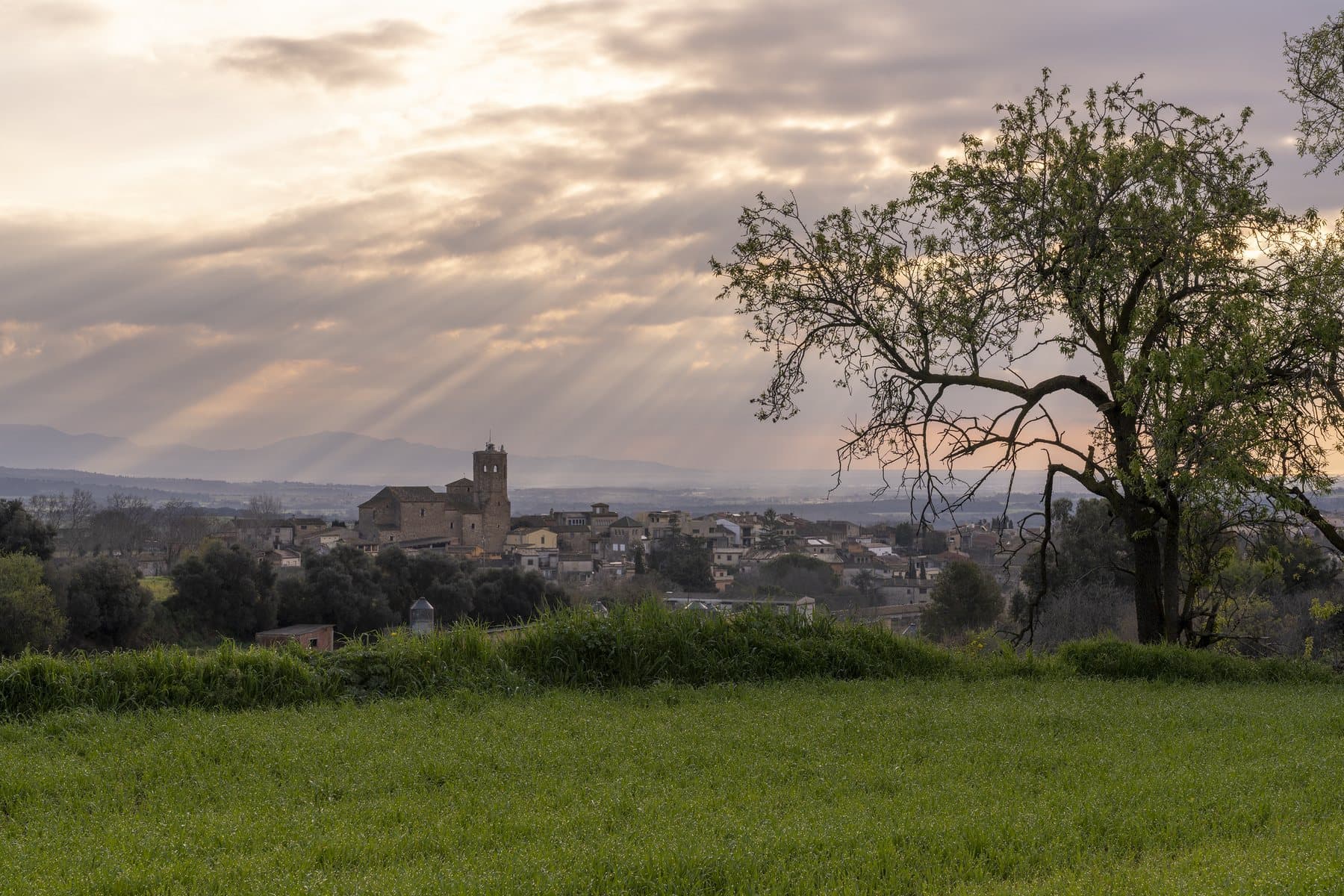Paisatge de Lladó